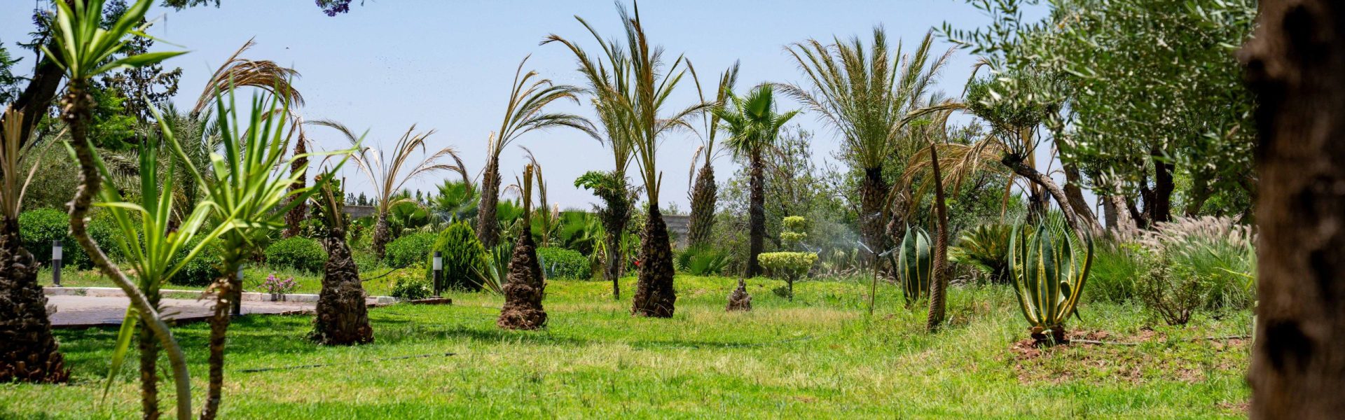 Villa de Luxe à Vendre Marrakech – Domaine de 3 Hectares, 6 Suites – photo 37