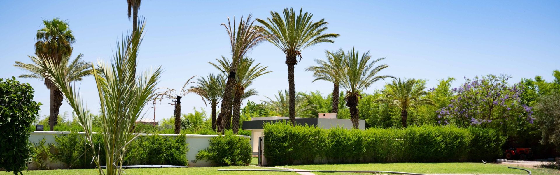 Villa de Luxe à Vendre Marrakech – Domaine de 3 Hectares, 6 Suites – photo 34