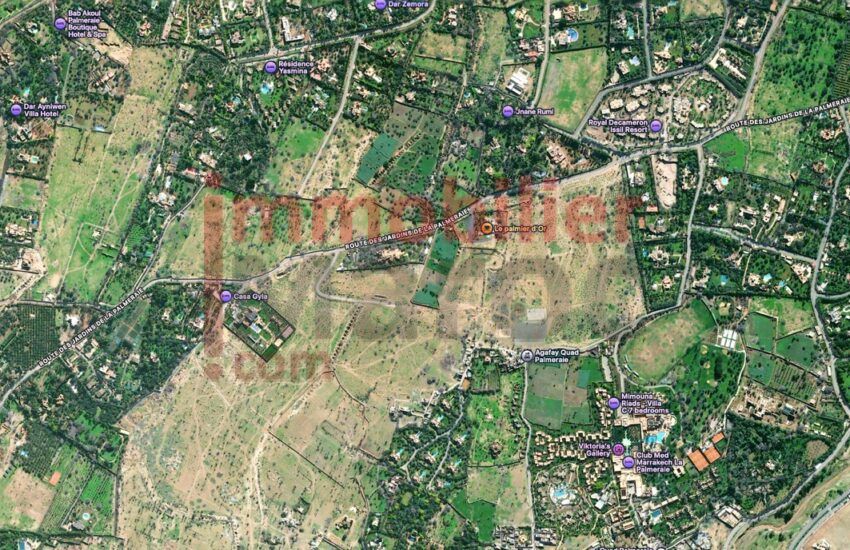 Terrain 1 ha 128 m² à vendre – Palmeraie de Marrakech, périmètre urbain