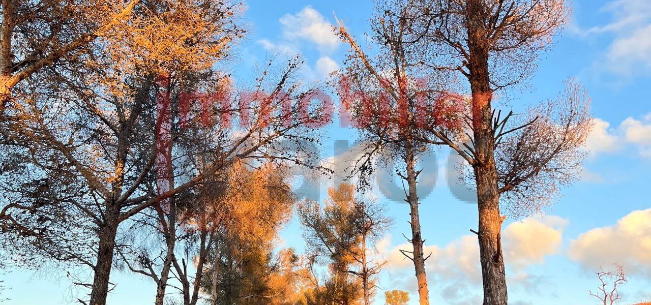 Villa d’hôtes de charme à vendre – 1 hectare entre Tahanaout et l’Ourika