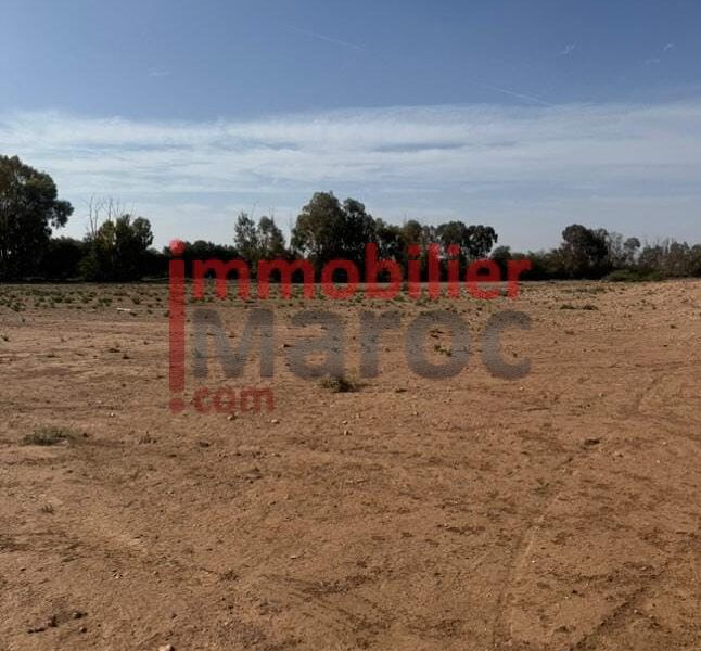 Terrain 1 hectare à vendre – Route du Barrage, Marrakech – Vue Atlas, titre foncier
