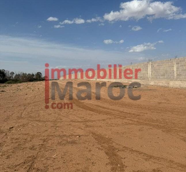Terrain 1 hectare à vendre – Route du Barrage, Marrakech – Vue Atlas, titre foncier