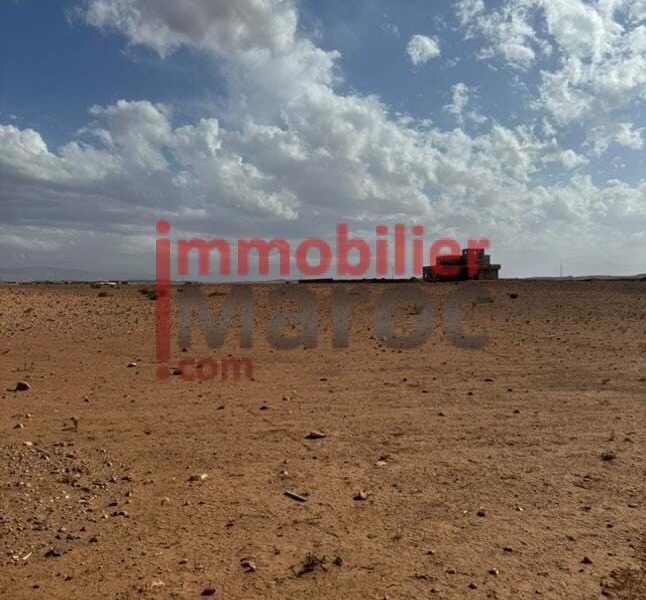 Terrain 1 hectare à vendre – Route du Barrage, Marrakech – Vue Atlas, titre foncier