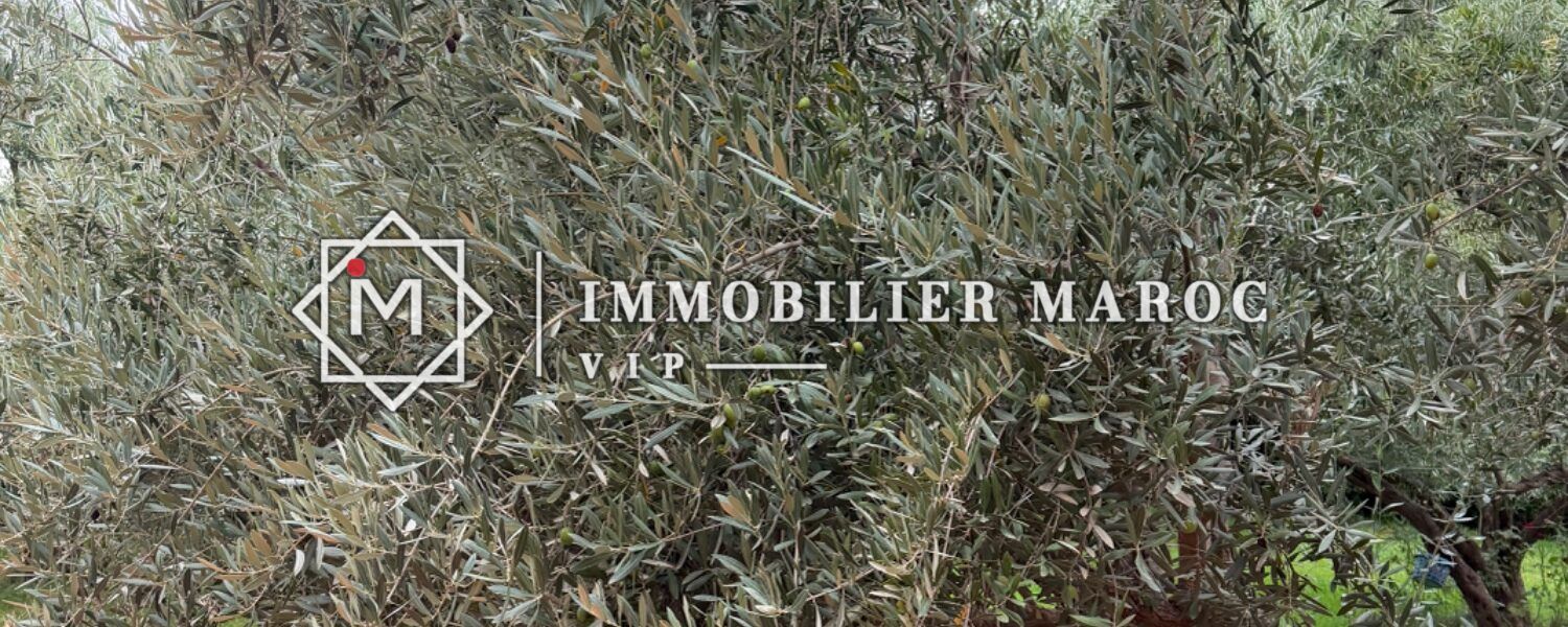 Villa de campagne à vendre à Aït Ourir, près de Marrakech – photo 17