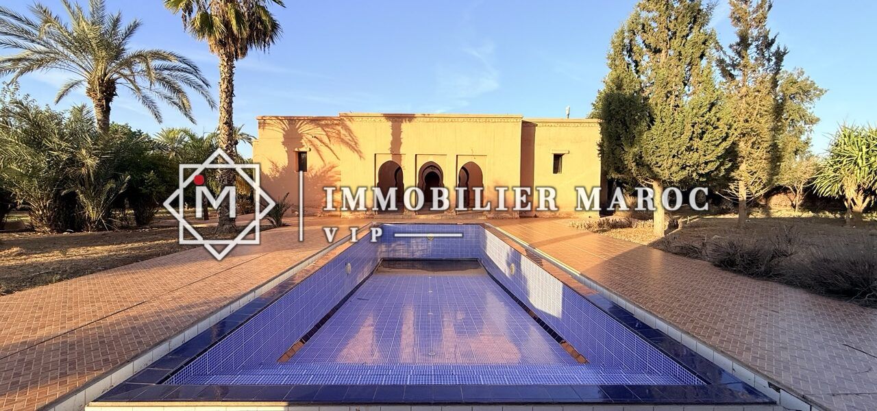 Piscine bordée de palmiers et cyprès, vue sur le riad – maison d'hôtes à vendre Palmeraie Marrakech