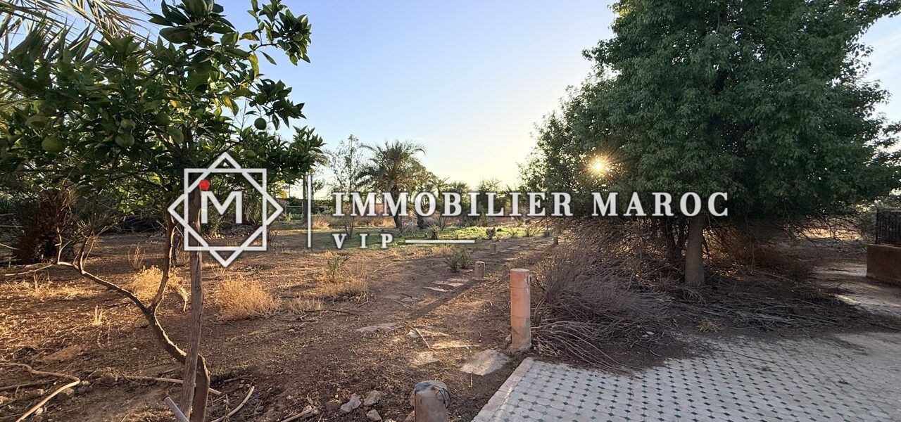 Jardin arboré avec allée pavée – domaine de 1,6 ha à vendre à la Palmeraie de Marrakech