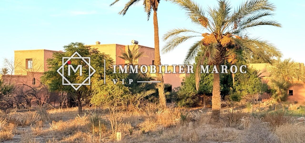 Jardin avec palmiers dattiers et riad en arrière-plan – domaine à vendre à la Palmeraie de Marrakech