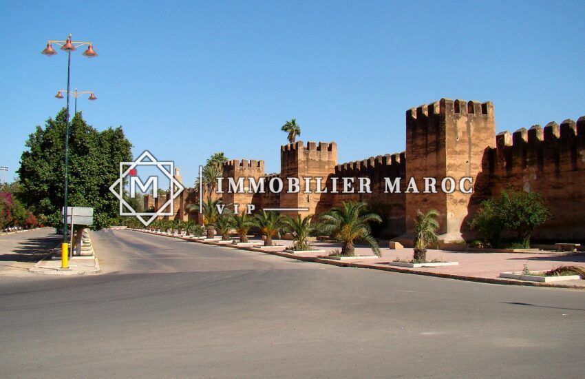 Remparts historiques de Taroudant, vallée du Souss – photo d'illustration de la ville (ce n'est pas l'hôtel à vendre)