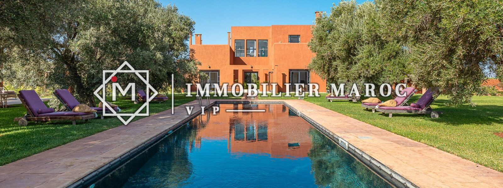 Piscine de 12 × 4 m bordée d'oliviers devant la villa à vendre avec VNA, route d'Amizmiz, Marrakech
