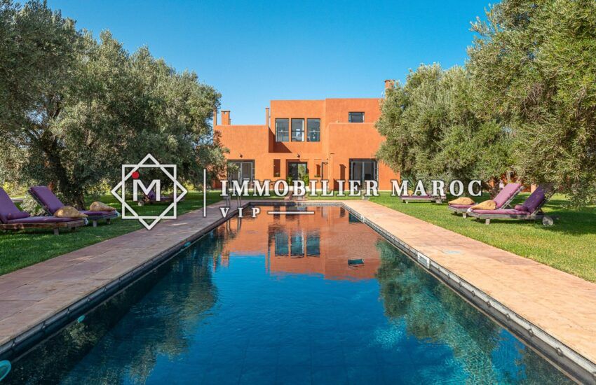 Piscine de 12 × 4 m bordée d'oliviers devant la villa à vendre avec VNA, route d'Amizmiz, Marrakech